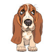 Portrait of a puppy Basset Hound. Vector illustration.