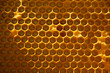 © maykal - Honeycomb with honey. macro shot texture close up