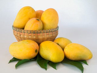 Wall Mural - ripe mangos in a basket on a white background