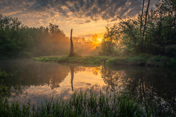 Sunrise over the Jeziorka River and the forest resembling the jungle near Piaseczno, Poland