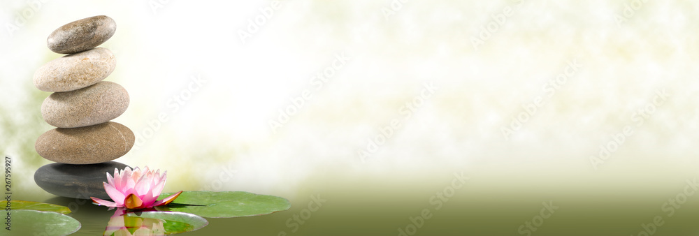  image of lotus and stones on water on green background - obrazy, fototapety, plakaty 