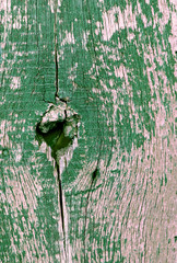 Wall Mural - Old wooden background with remains of pieces of scraps of old paint on wood. Texture of an old tree, vintage wood background peeling paint. old blue board with cracked paint