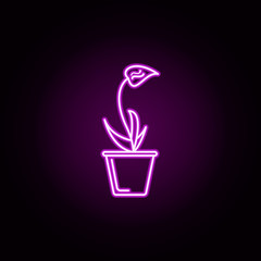 Poster - orchid in pot neon icon. Elements of flower set. Simple icon for websites, web design, mobile app, info graphics
