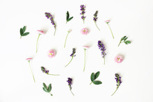 Floral, Pattern, Botanical Composition. Pink Daisy And Purple Alfalfa Flowers Isolated On White Table Background. Styled Stock Photo. Flat Lay, Top View.