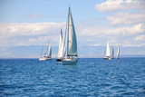 Fototapeta  - Group of yacht at sea with mountains in the background. Sailing in Croatia