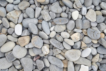Texture Of Gray Oval Pebble Stones Next To The Sea. Close-up