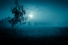 Mysterious Landscape In Cold Tones - Silhouettes Of The Trees On The Night Meadow Under The Full Moon And Dramatic Night Cloudy Sky.
