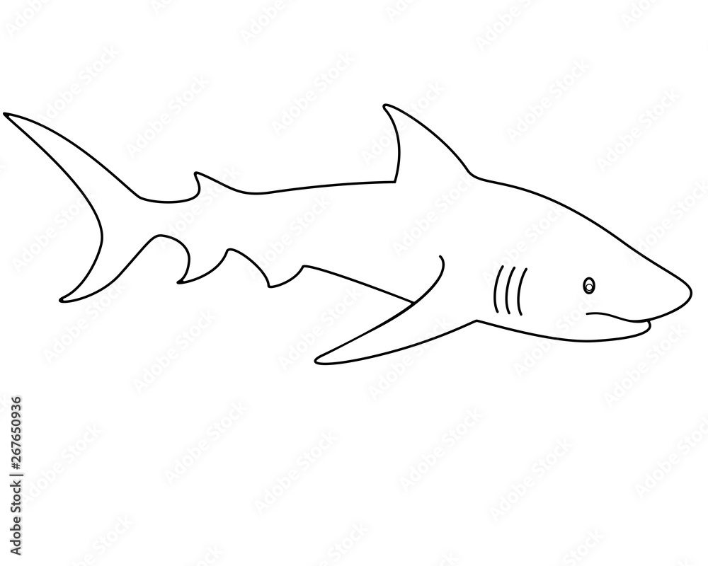 Shark - linear vector template for coloring. Outline. Vector animal - shark fish. Stock Vector | Adobe Stock shark-linear-vector-template-for-coloring-outline-vector-animal-shark-fish-stock-vector-adobe-stock