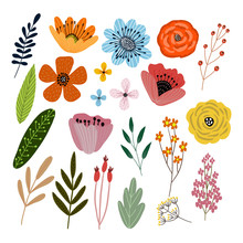 Vector Set Of Isolated Floral Elements With Hand Drawn Flowers On A White Background