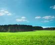 © ManForProm - green field ,forest and blue sky