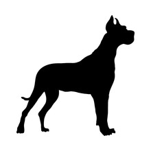 German Great Dane Dog Silhouette