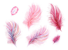 Set Of Pink Watercolor Feathers. Isolate On White Background.