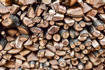 Wall Mural - wood pile stacked