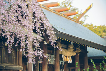 Wall Mural - 北海道神宮境内（Precincts of Hokkaido Jingu）