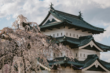 Wall Mural - 弘前城と桜（Hirosaki Castle and cherry blossoms）