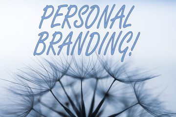 Poster - Handwriting text writing Personal Branding. Conceptual photo process of creating a recognizable professional name