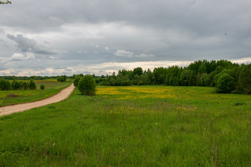 bright green meadow in sunny day in countryside