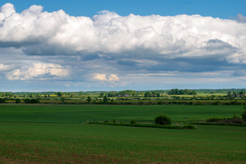 bright green meadow in sunny day in countryside