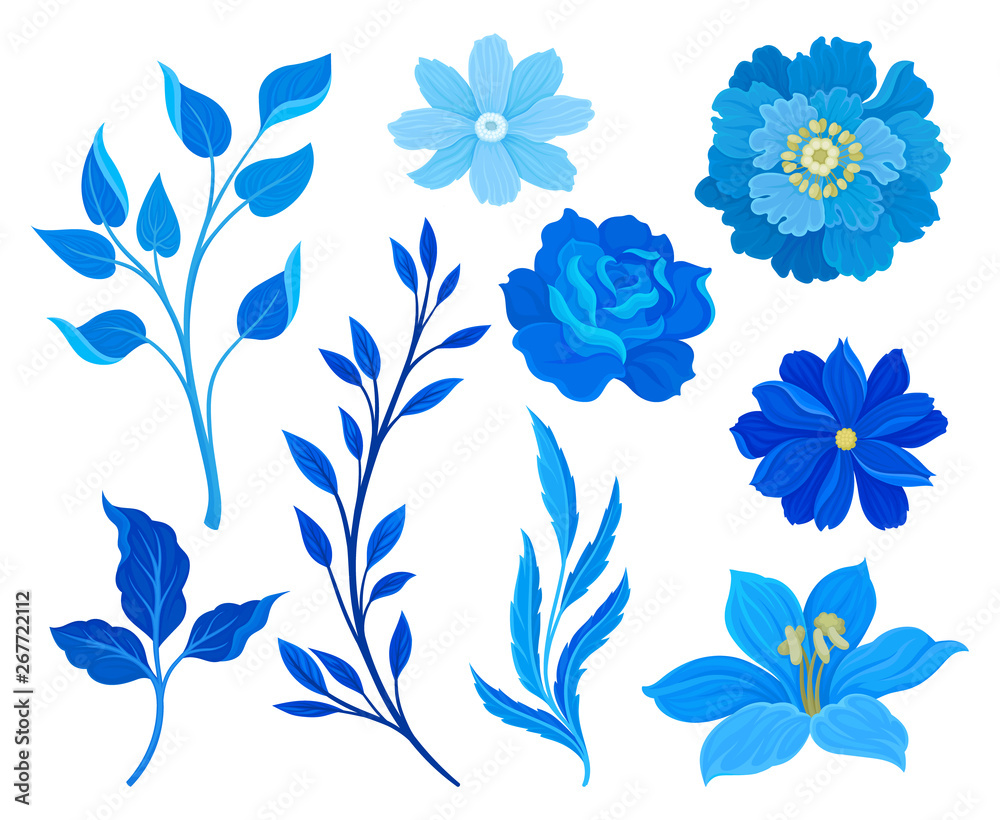 Set of images of blue flowers and leaves. Vector illustration on white ...