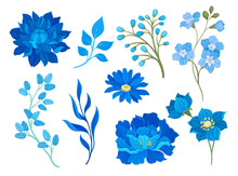 Collection Of Drawings Of Blue Flowers And Leaves. Vector Illustration On White Background.