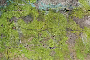 abstract green painted stucco wall. Texture of old rustic wall covered with green-gray stucco. background texture concrete surface background. Abstract pattern of grunge green concrete painted wall. 