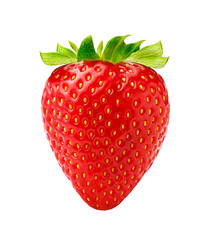 beautiful strawberry isolated on white background. studio shot of strawberry.