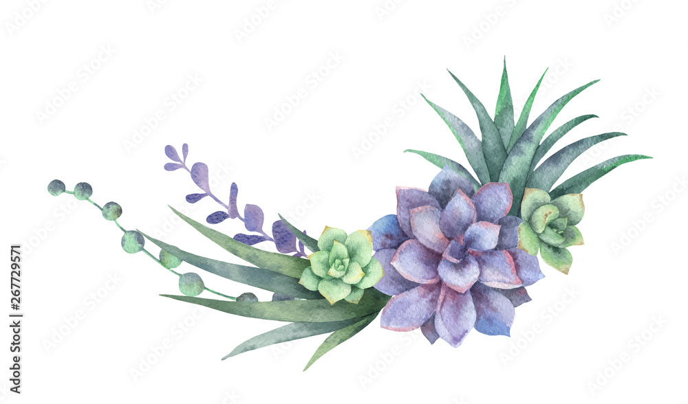 Watercolor vector wreath of cacti and succulent plants isolated on ...