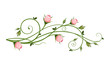 Vector decorative design element with pink rosebuds isolated on a white background.