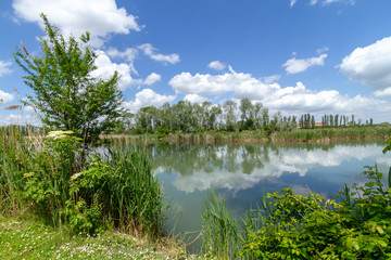 Canvas Print - delta of the river po natural park ferrara italy