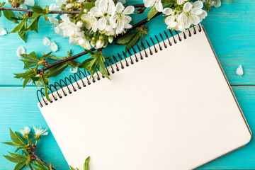 Wall Mural - Spring blossom cherry branches and notebook on blue wooden background.