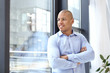 © Pixel-Shot - handsome African-American man near window in office