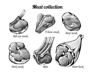 Wall Mural - Engraving style collection of meat food ingredients. Line art vintage illustration of ham hock, ribs, pork and beef steaks. Vector