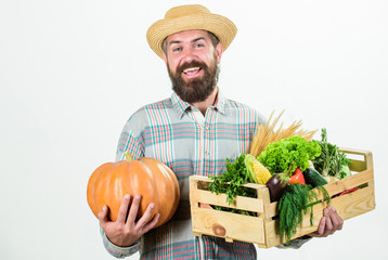 Farmer carry harvest. Locally grown foods. Farmer lifestyle professional occupation. Buy local foods. Farmer rustic bearded man hold wooden box with homegrown vegetables and pumpkin white background