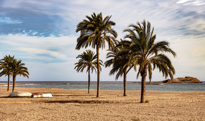 Canvas Print - Beautiful beach scene with palm trees, calm ocean and distant island in the horizon.