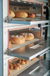 © purtof1 - Industrial electric oven for catering with set food