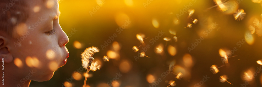 Cute little boy blows a dandelion on the summer sunset. - obrazy, fototapety, plakaty 