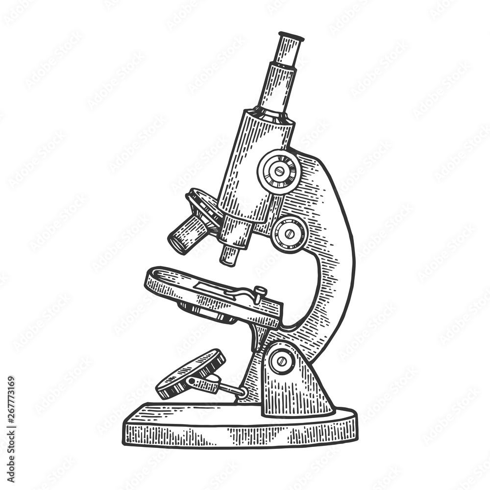 Microscope Hand Scratch Old Microscope sketch engraving vector illustration. Scratch board ...