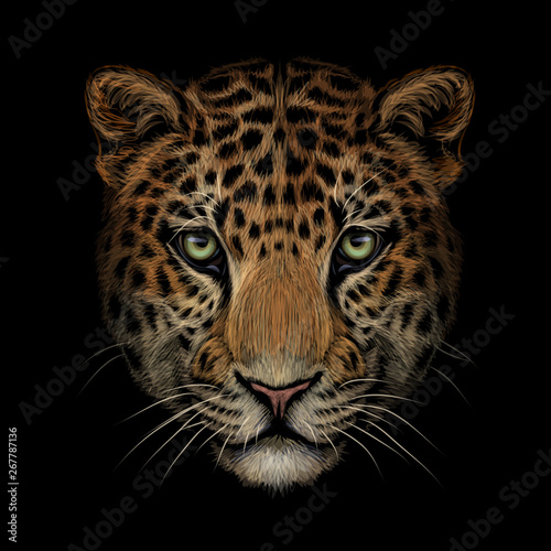 Fotografía Color portrait of Jaguar/leopard looking forward on a black background