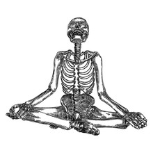 Human Skeleton In Yoga Meditation Or Lotus Position With Skull Thrown Back. Halloween Element. Vector