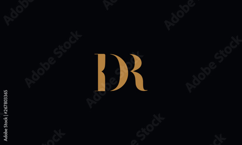 Fotomural DR logo design template vector illustration