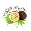 © kirasolly - Vector hand draw colored passion fruit illustration. Brown yellow passion fruit with pulp, fruits bones and green leaves. Fresh tropical passion fruits illustration on white background