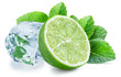Lime slice, mint leaves and ice cube isolated on the white background.