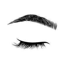 Eyelashes And Eyebrows Vector Logo