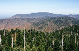 Fototapeta Na ścianę - Great Smoky Mountains National Park in North Carolina in Autumn