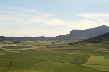 Canvas Print - campo