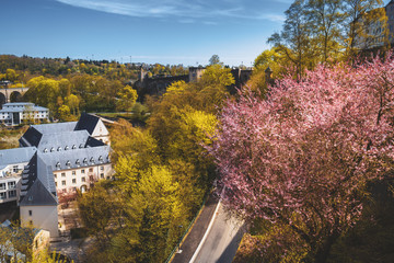 Poster - Spring season in Luxembourg