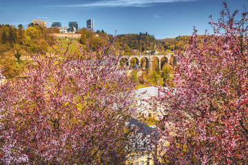 Poster - Spring season in Luxembourg