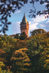 Poster - Tower of the Bank of Luxembourg surrounded by trees