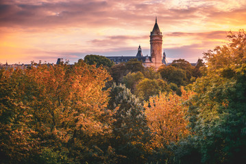 Poster - Tower of the Bank of Luxembourg surrounded by trees