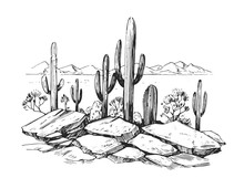 Sketch Of The Desert Of America With Cacti. Prairie Landscape. Hand Drawn Vector Illustration